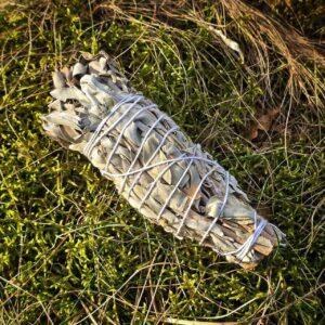 Szałwia Biała 50g - 60g duża wiązka