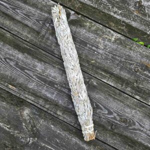 Szałwia Biała gigant 300g 0,5m - obrazek 4