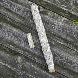 Szałwia Biała gigant 300g 0,5m - obrazek 7