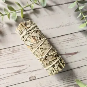 Szałwia Biała 26g - 30g - obrazek 4