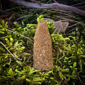 Stożek bylica pospolita oczyszczanie - obrazek 3