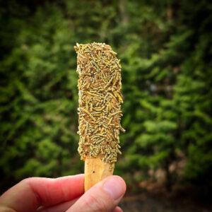 Palo Santo leśne jałowiec i cedr - obrazek 3