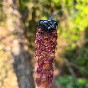 Palo Santo w płatkach róży - obrazek 2