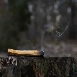 Palo Santo ekologiczne 1 szt. - obrazek 3