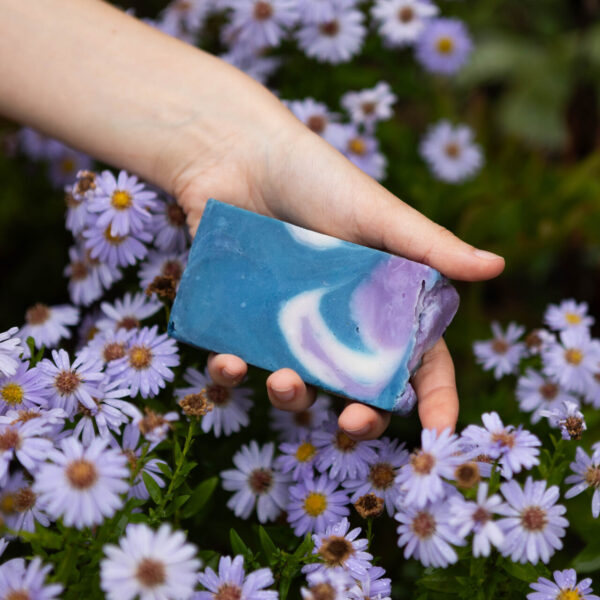 EOSR3202_Easy-Resize.com_
