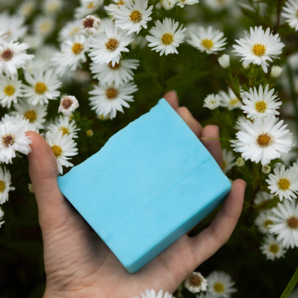 EOSR3212_Easy-Resize.com_